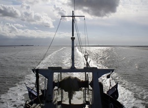 Ameland Ferienlager Kutterfahrt