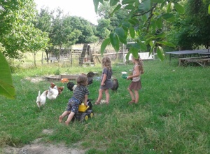 Tierisch stark! Kinder und Tiere – unser Erfolgskonzept