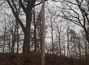 Erneuerung der Flutlichtanlage auf LED