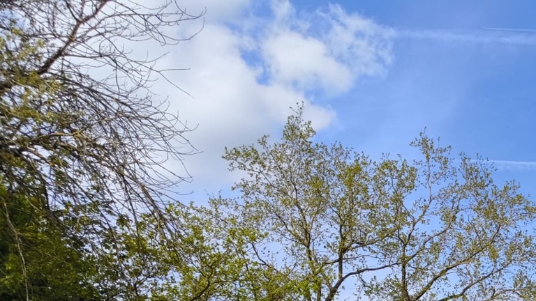 TC Lissendorf Clubhaus-Sanierung für optimierteres Vereinsleben