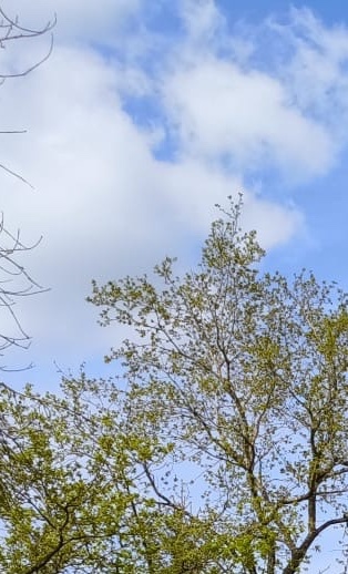 TC Lissendorf Clubhaus-Sanierung für optimierteres Vereinsleben