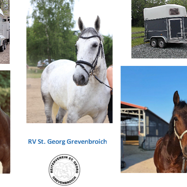 Pferdeanhänger für den RV St. Georg Grevenbroich