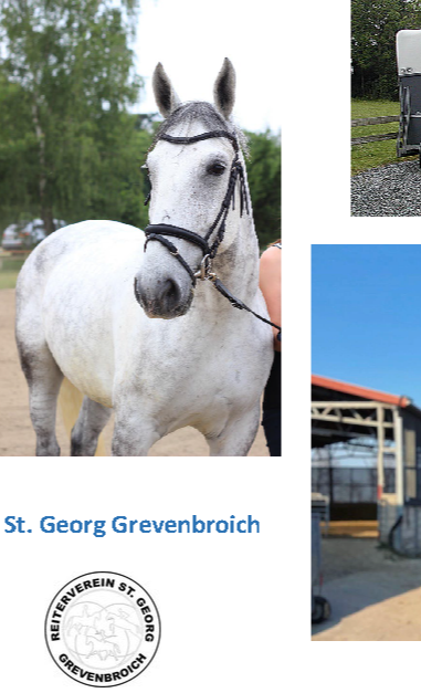 Pferdeanhänger für den RV St. Georg Grevenbroich