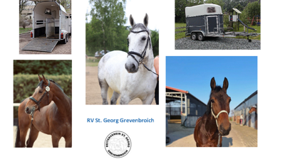 Pferdeanhänger für den RV St. Georg Grevenbroich