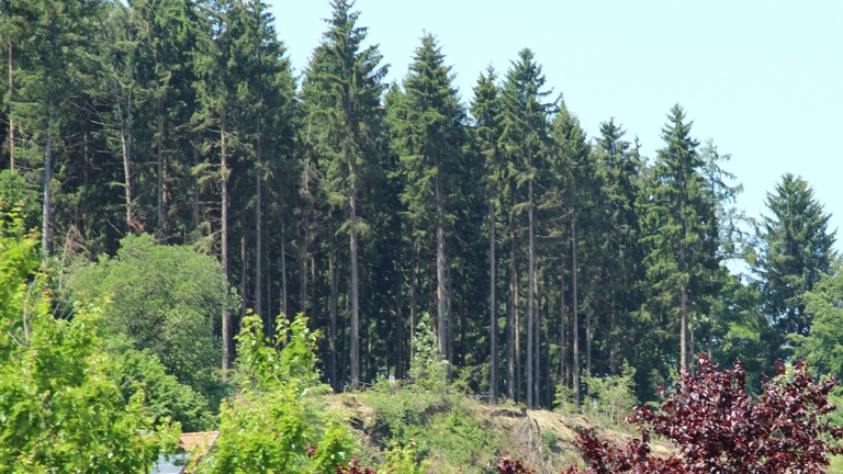 Aussichtspunkt am Tanzberg