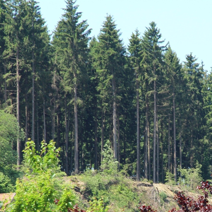 Aussichtspunkt am Tanzberg