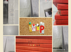 Anschauffung neuer Judo-Matten (Turngemeinde Veitshöchheim 1877 e.V.)