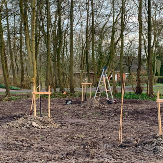 Baumpatenschaft in Leybuchtpolder