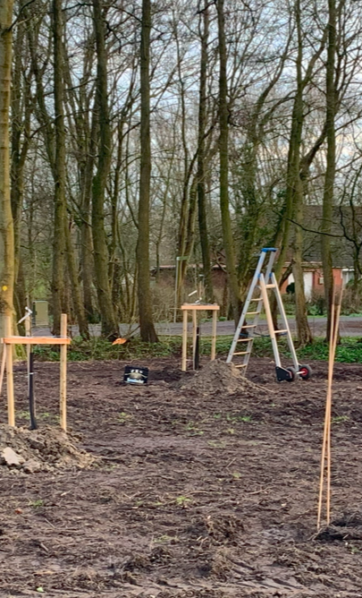 Baumpatenschaft in Leybuchtpolder