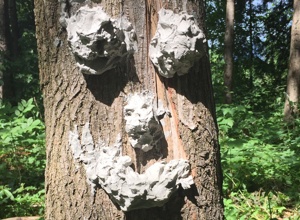 Neuer Waldkindergarten Lenggries | Ausstattung