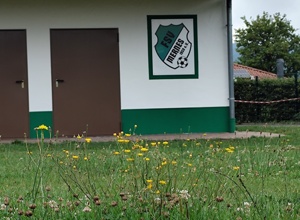 Der FSV Mähroboter