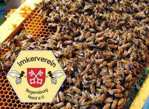 Lehrbienenstand an der Schillerwiese