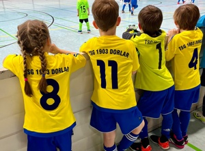 Alu-Fußballtore für die Fußballjugend der TSG Dorlar