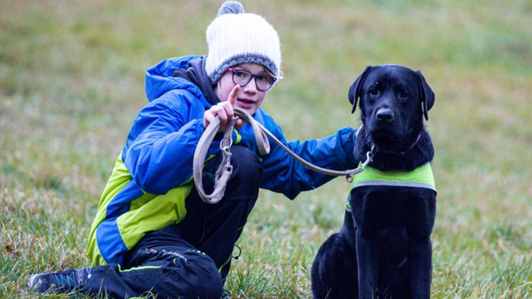 Assistenzhundeausbildung für Labrador-Rüde Fredy