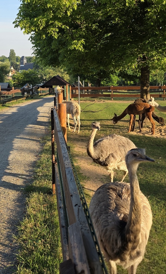 Trinkwasser für unsere Tiere – Anschluss jetzt gemeinsam schaffen