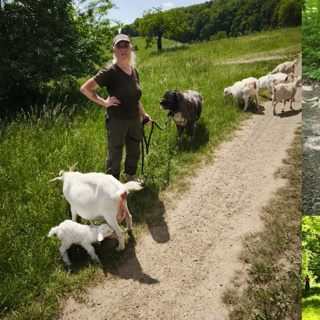 Ein Tag mit unseren Tieren