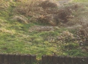 Spielplatz Lösnich