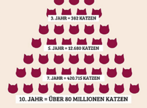 Gemeinsam für Tier und Mensch in Vreden und Umgebung