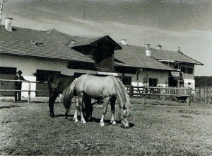 Reitplatzsanierung RG Mooshof e.V.