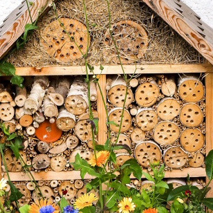 Bau und Aufstellung von drei Insekten-Nisthilfen