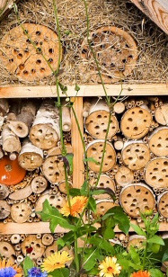 Bau und Aufstellung von drei Insekten-Nisthilfen