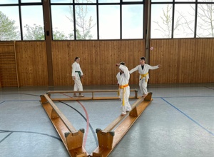 Bonsai Karate (Eltern-Kind-Bindung im Sportbereich)
