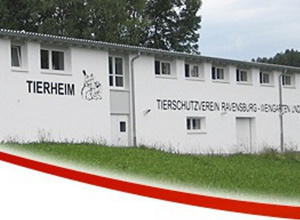 Tierheim- Katzen Außenbereich Sanierung