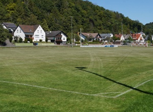 Rasenmäher für die Sportanlage des VfB Sennfeld 1923 e.V.