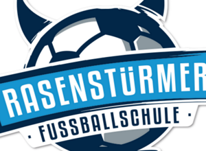 Rasenstürmer Plus