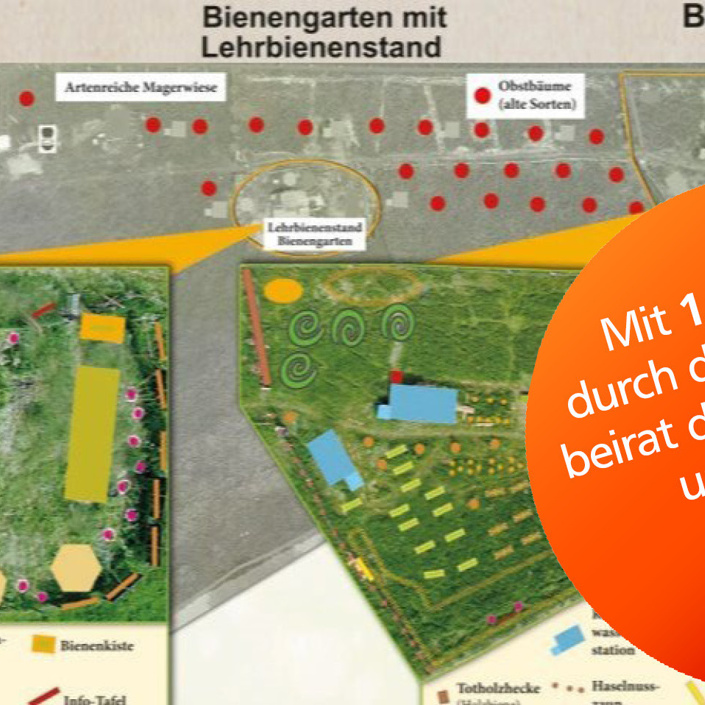 Artenvielfalt & Bienenprojekt in Monheim-B.