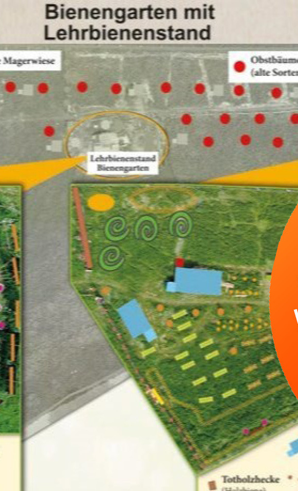 Artenvielfalt & Bienenprojekt in Monheim-B.