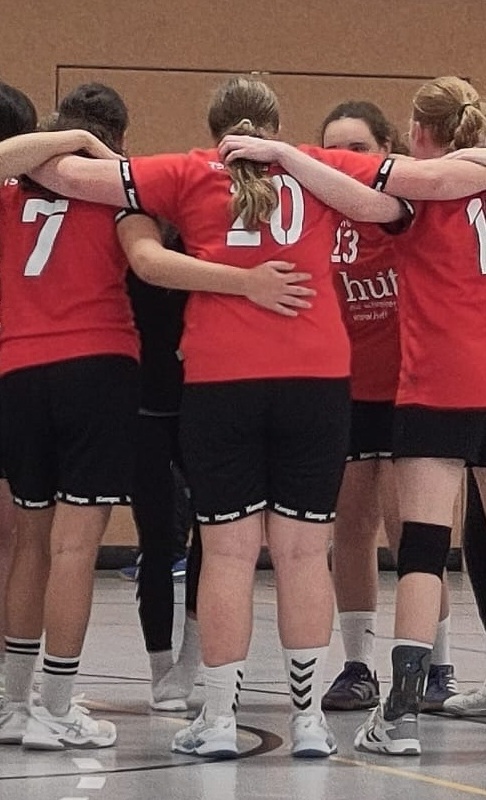 Trikotsätze Handball weibliche Jugend