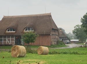 Ein Stadtwald für Hamburg - Der Auftakt auf Hamburgs Höfen