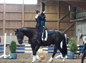 Neues Pferd für unsere Voltigierer