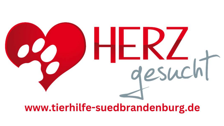 Große Ansicht vom Video