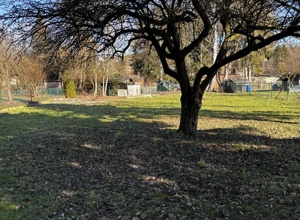 Mehr Natur zum Spielen – Wir schaffen einen neuen Kinder-Spielgarten