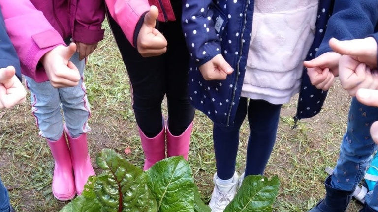 Schenefelder Beete machen Schule