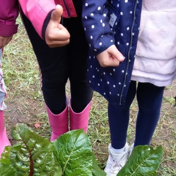 Schenefelder Beete machen Schule