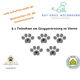 Teilnahme an 5 Schnuppertrainings