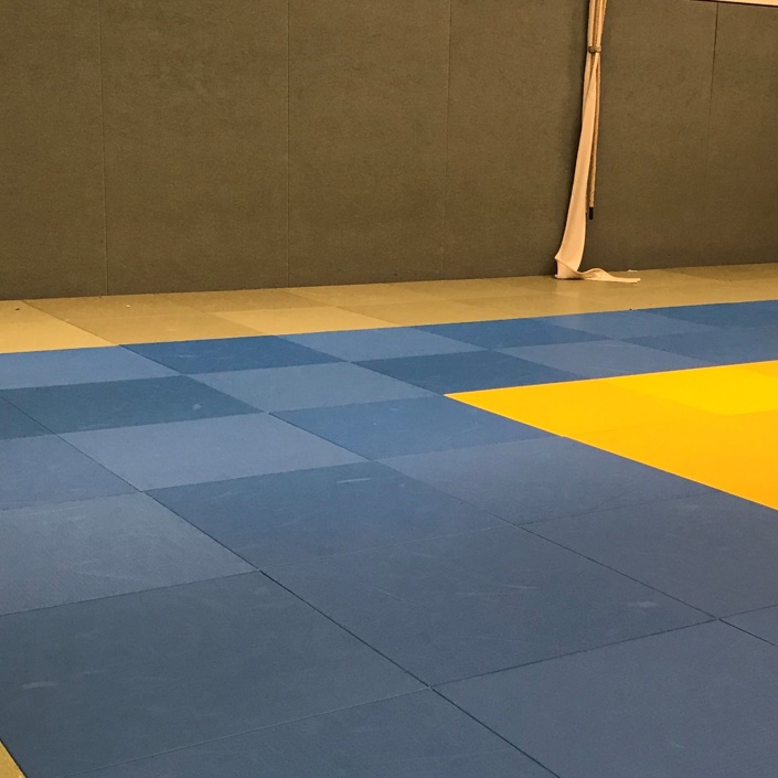 Das Dojo soll blauer werden