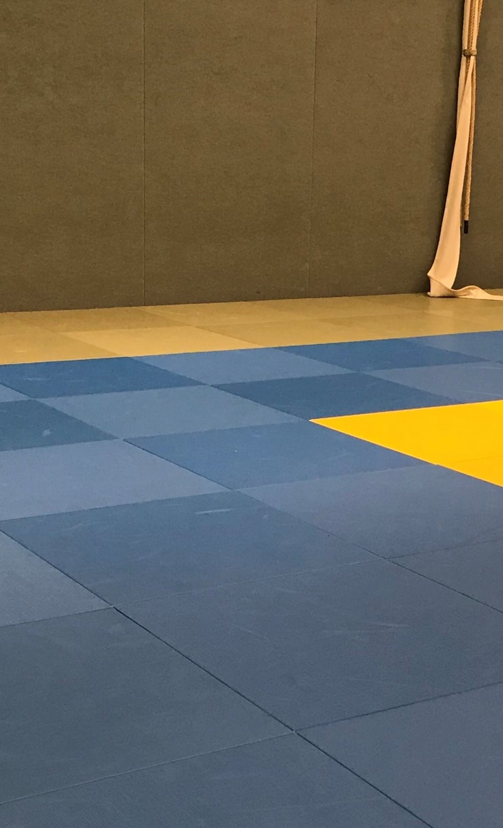 Das Dojo soll blauer werden