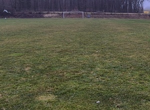 Sanierung Rasenplatz SV Gimbweiler