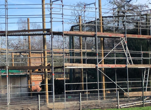 Neue Weißkopfseeadlervoliere im Tiergarten Kleve