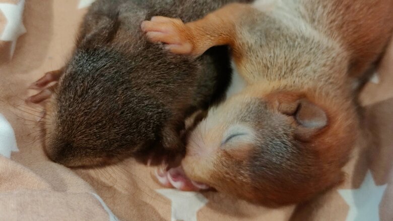 Große Ansicht vom Video