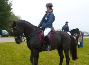 Reitplatzausrüstung für Dressur- und Springreiten