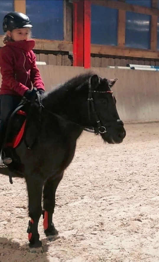 Reitsport ohne Hürden - für Kinder aus einkommensschwachen Familien