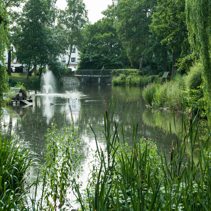 Anlegen einer öffentlichen Garten- und Parklandschaft