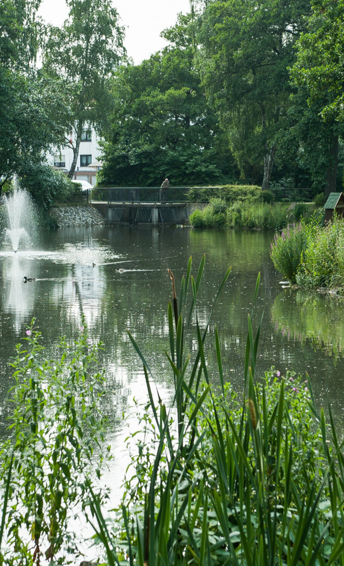 Anlegen einer öffentlichen Garten- und Parklandschaft