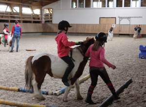Breitensport-Trainingsparcours für die Reiterkids