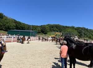Abziehgerät für den Reitplatz des RZV Alftal